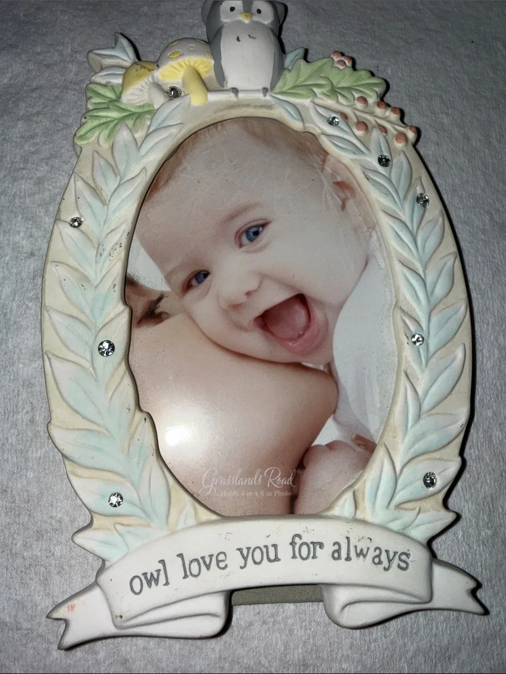 Grasslands Road Cream and Pastel Owl Photo Frame